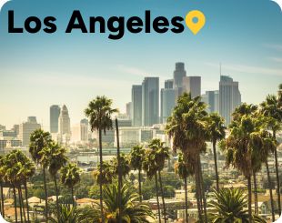 Palm trees and Los Angeles skyline at sunset Los Angeles USA